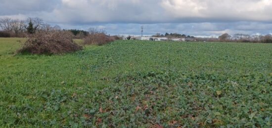 Terrain à bâtir à , Vendée