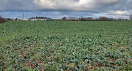 La Garnache Maison neuve - 2453683-11728annonce320260311Ro4dQ.jpeg LMP Constructeur