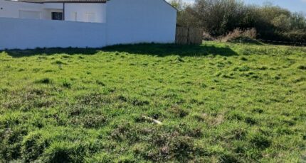 Soullans Maison neuve - 2454404-11728annonce420260312LMOzD.jpeg LMP Constructeur