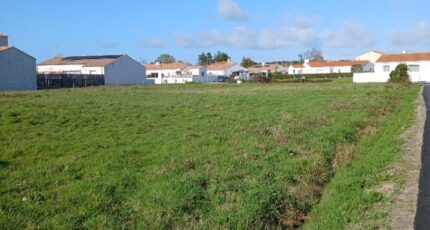 Soullans Maison neuve - 2454406-11728annonce3202603125AH9Q.jpeg LMP Constructeur