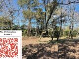 Maison à construire à Givrand (85800) 2585261-7159annonce1202607184LvBA.jpeg LMP Constructeur