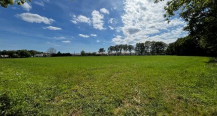 Givrand Maison neuve - 2597914-11854annonce120260807RNuol.jpeg LMP Constructeur