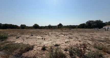 Saint-Vincent-sur-Graon Maison neuve - 2602457-10920annonce220260814drXBr.jpeg LMP Constructeur