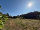 Maison à construire à Aizenay (85190) 2624362-11796annonce1202609085gPJV.jpeg LMP Constructeur