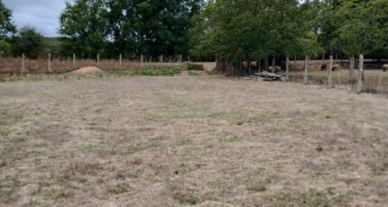 Château-Guibert Maison neuve - 2671393-11931annonce120261009bqAAM.jpeg LMP Constructeur
