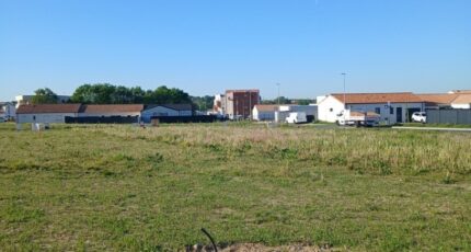 Maché Maison neuve - 2597274-11796annonce120260806ITOXL.jpeg LMP Constructeur