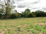 Maison à construire à Mouchamps (85640) 2674450-11930annonce120261013CR4f0.jpeg LMP Constructeur