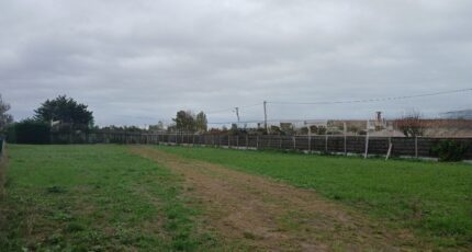 Talmont-Saint-Hilaire Maison neuve - 2693215-11931annonce120261028UOswq.jpeg LMP Constructeur