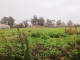 Maison à construire à La Boissière-de-Montaigu (85600) 2693027-11930annonce1202610285Uby5.jpeg LMP Constructeur